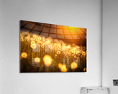 Artwork - Gods Paintbrush - St. Charles County Acrylic Print