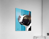 Boston Terrier Face Profile Acrylic Print