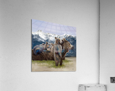 Bridger Bunch Acrylic Print