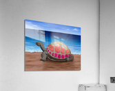 Dreamtime  Acrylic Print