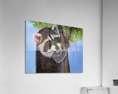 Freebie Acrylic Print