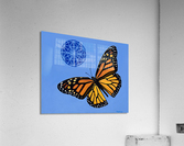 Seed of Life Acrylic Print