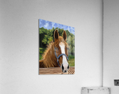 Majestic Acrylic Print