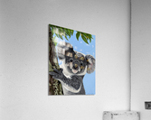 Delightful  Acrylic Print