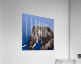 Mighty  Acrylic Print