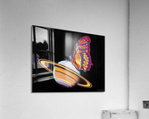 Trust Your Journey Acrylic Print