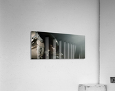 COSMIC PILOT Acrylic Print