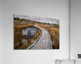 Autumn at the Bog Acrylic Print