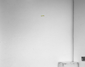 Elephants in a Row   Baby in Middle  Acrylic Print