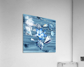 Seashells Heart With Blue Orchid Flower Beach Acrylic Print