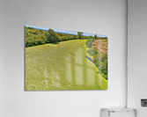 background of green algae on river  Acrylic Print