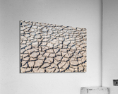 cracked clay soil Acrylic Print