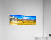 Cattle Grazing Autumn Panorama Acrylic Print