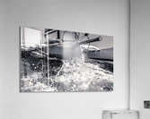 IMG 4397 Acrylic Print