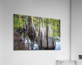 2022 Oct 20 MillPond02  Acrylic Print