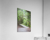 2022 Sept 27 ElliotCouesTrl02 Acrylic Print