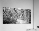 2022 Sept 27 ElliotCouesTrl03 Acrylic Print