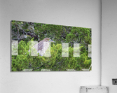 2022 Sept 27 NightHeron01 Acrylic Print