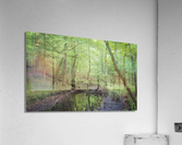 2022 Sept 18 IslandCreek02 Acrylic Print