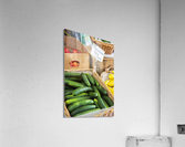 2022 Sept 17 Cucmbers01  Acrylic Print