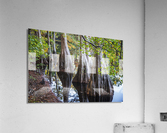 2022 Oct 20 MillPond02  Acrylic Print
