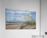 2022 Aug 30 SeaOats01 Acrylic Print