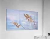 2022 Aug 30 SeaOats02 Acrylic Print