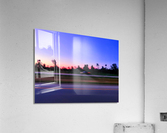Vice  Acrylic Print