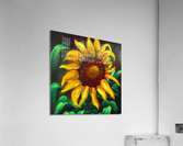 Flower garden Painting Acrylic Print