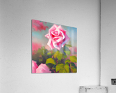 Flower garden Painting Acrylic Print