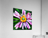 Flower Painting Acrylic Print