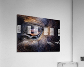 Equine 3 Acrylic Print