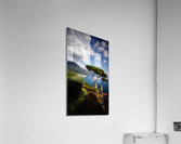 Ravelo Acrylic Print