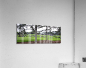 Masters Crowd Acrylic Print