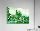 Vintage Fifties Tulane Art by Artist Gib Crockett Acrylic Print