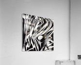 unsung melody  Acrylic Print