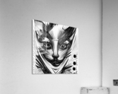 kissa  Acrylic Print