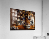 Tiger Smoke Acrylic Print
