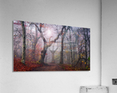Walking the old path.  Acrylic Print