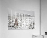 Snowstorm Acrylic Print