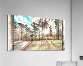 Georgia Sunrise Acrylic Print