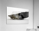 Cat in a bag Acrylic Print