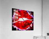 BRIGHT RED LIPS Acrylic Print