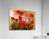 Orange Poppies  Acrylic Print