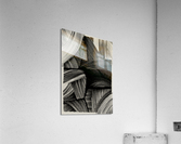 2369520  Acrylic Print