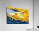 Buffalo by water Yellow Stone  2  2 2 Acrylic Print