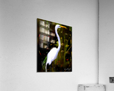 03B691EC FC04 4224 9520 E8597DF76C2B  Acrylic Print