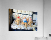 Three ladies of leisure Acrylic Print