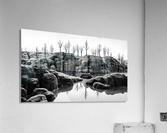 illusiOn Acrylic Print