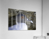 Swallow tailed Gull Acrylic Print